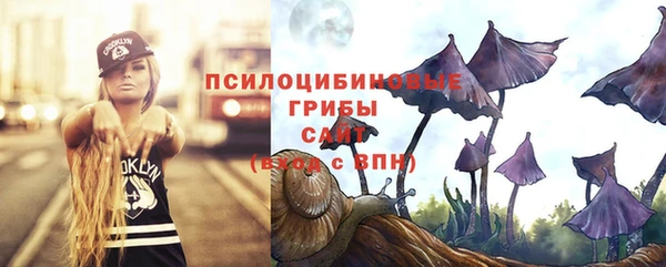 герыч Алзамай
